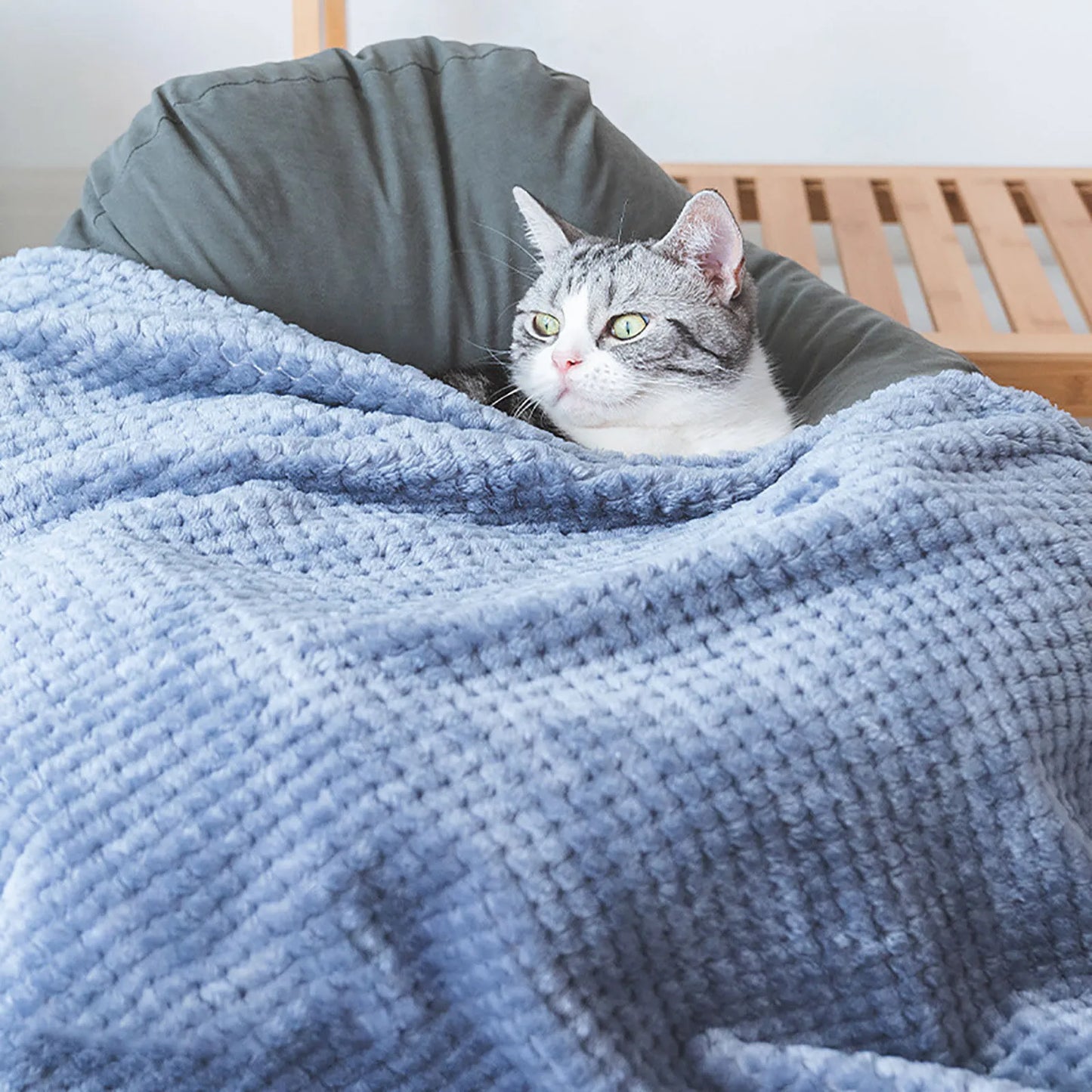 Soft Pet Blanket Plush Dog Sleeping