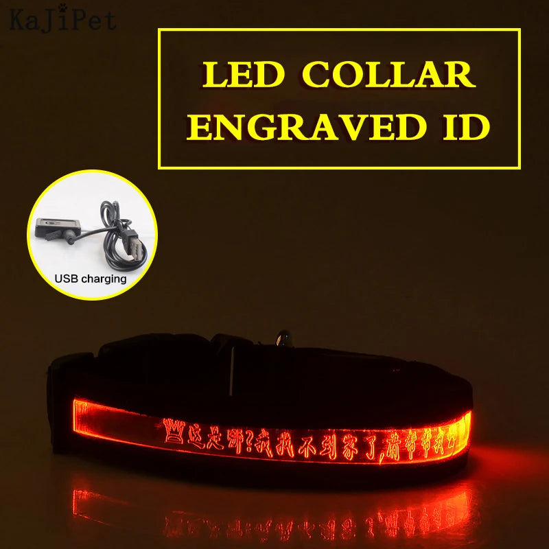 Engraved ID LED Dog