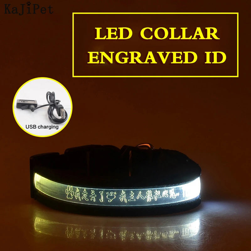 Engraved ID LED Dog