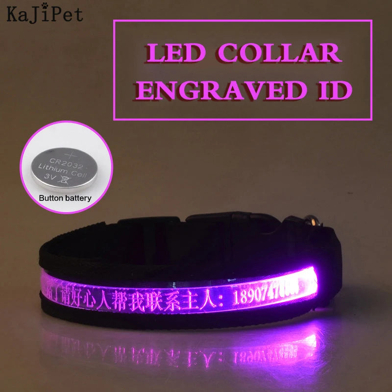 Engraved ID LED Dog