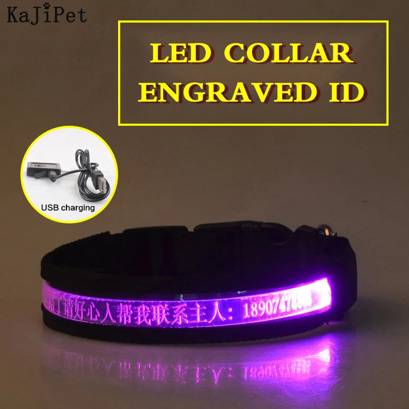Engraved ID LED Dog