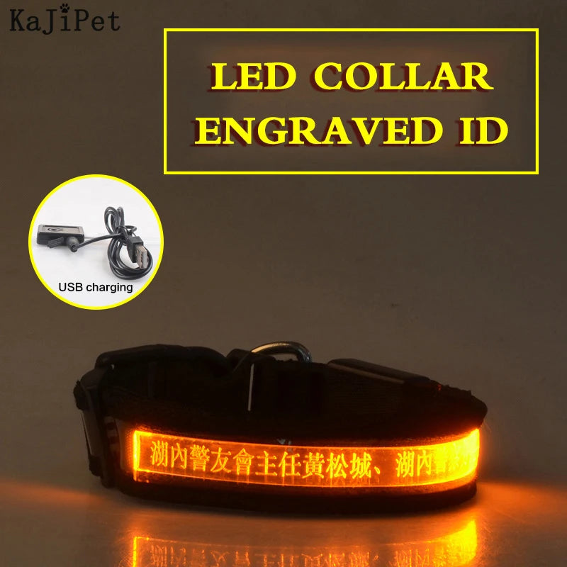 Engraved ID LED Dog