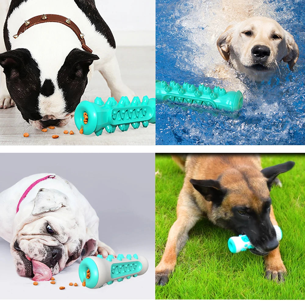Dog Toothbrush Chew Toys Safe Bite Resistant