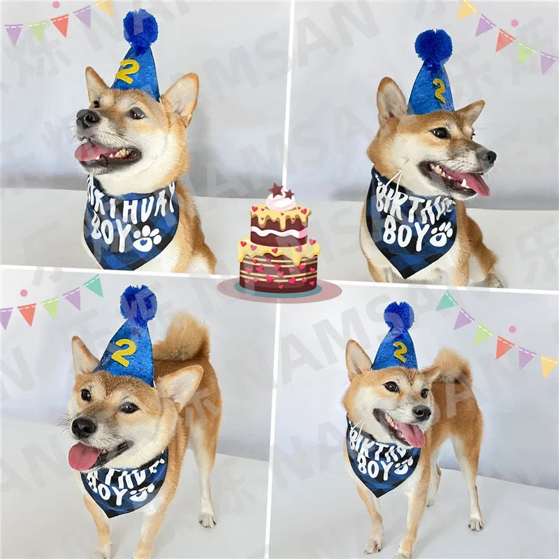 Pet Birthday Clothes