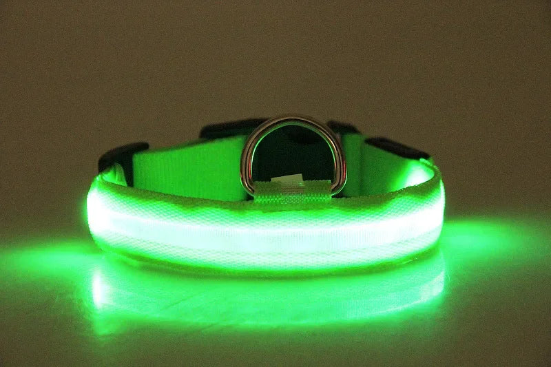 Dog  Collar LED