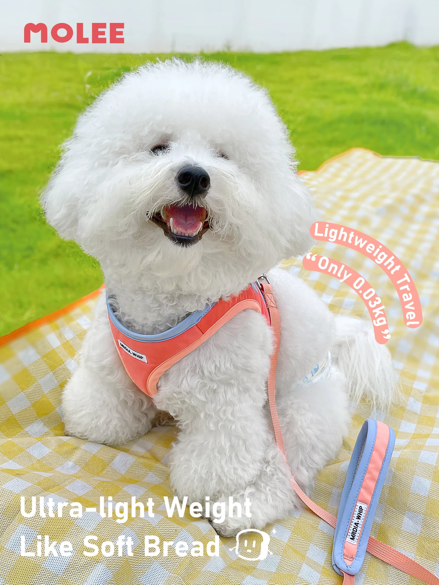 dog vest harness medium to small dog I-beam Bichon dog walking rope