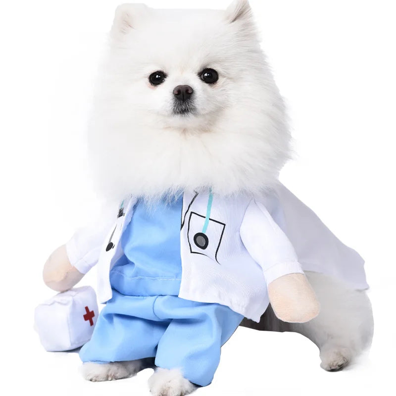 Dress dog Dress Up