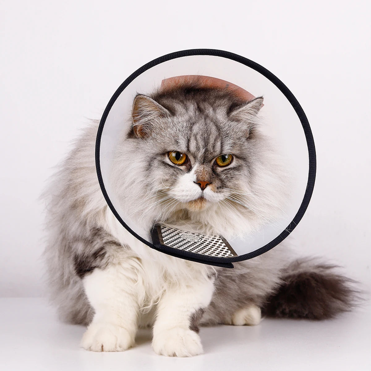 Stop Licking Protective Collar for Dog After Surgery Anti-Bite Lick