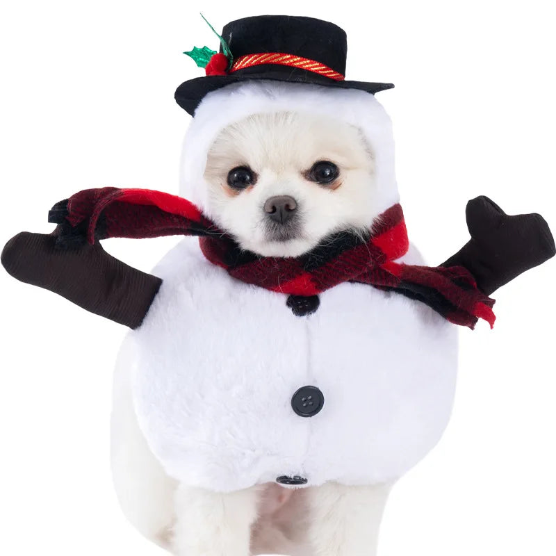 Dress dog Dress Up