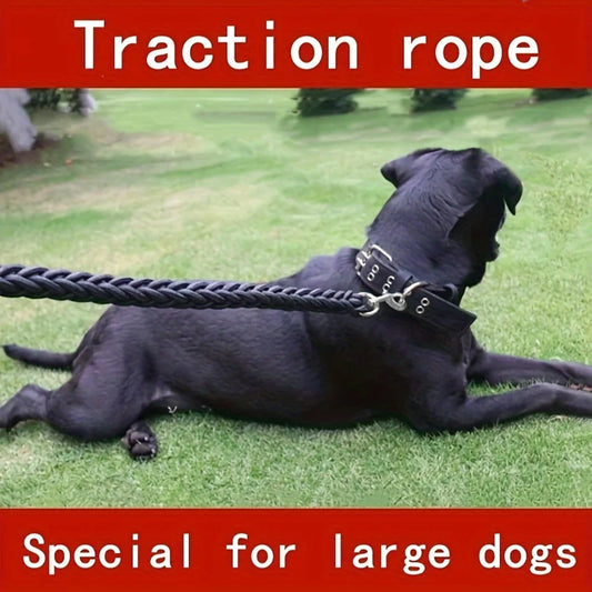 5-Foot Braided Dog Leash
