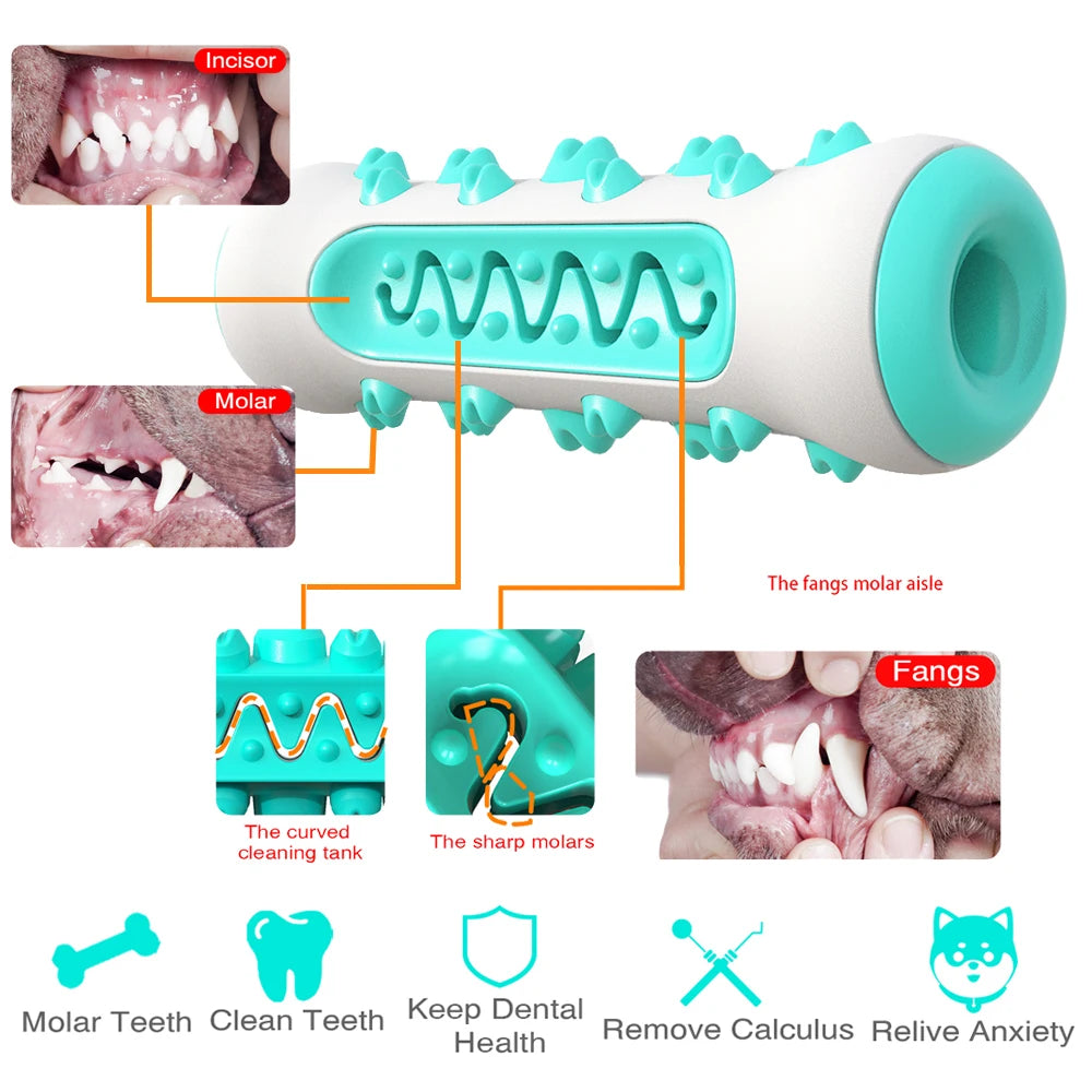 Dog Toothbrush Chew Toys Safe Bite Resistant