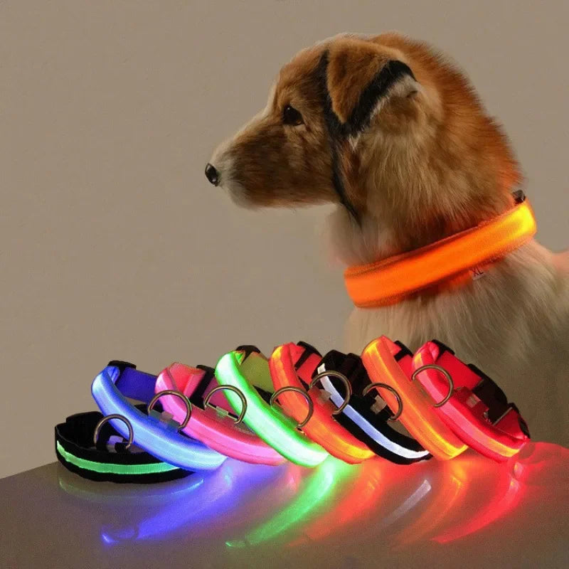 Dog  Collar LED