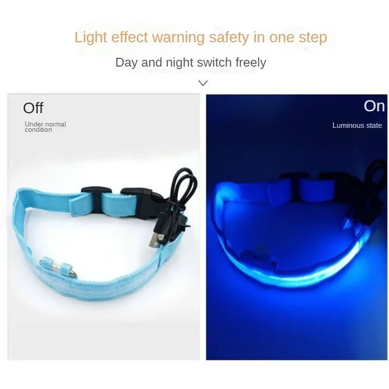 Dog  Collar LED