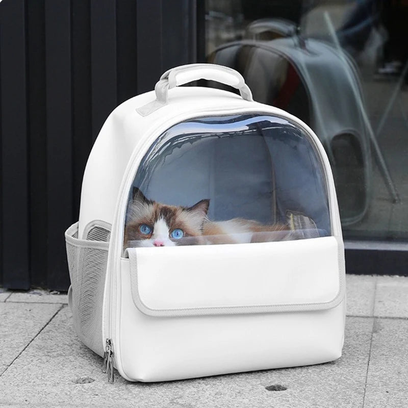Pet Transparent Space Bag Outing Portable Cat