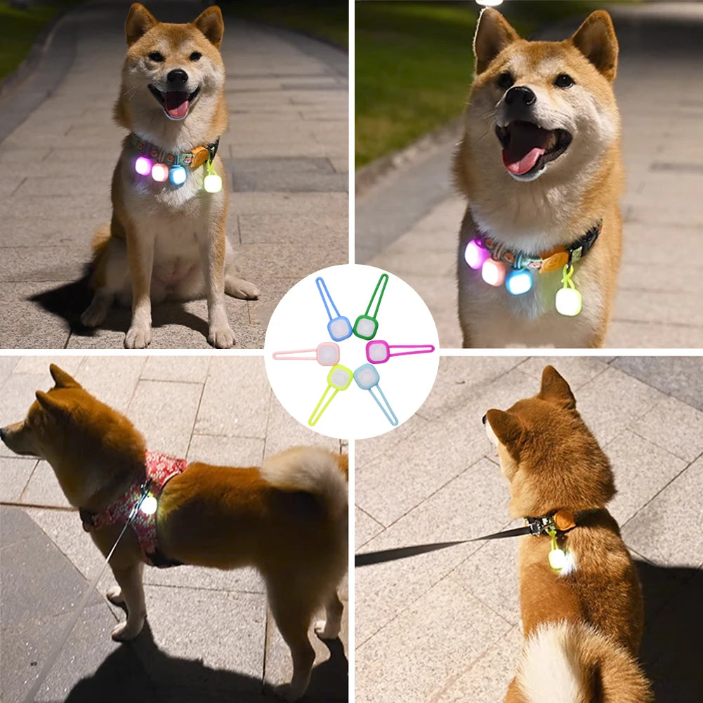Night Light Pet Collar Pendant for Outdoor