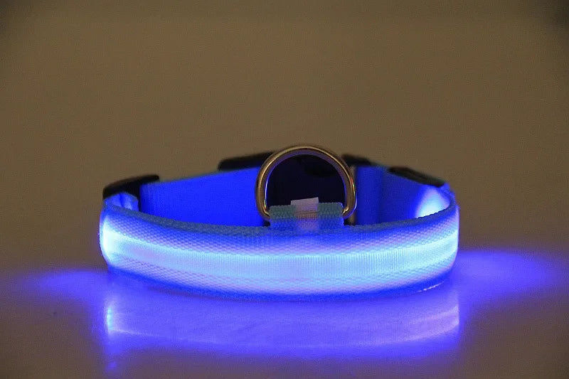 Dog  Collar LED