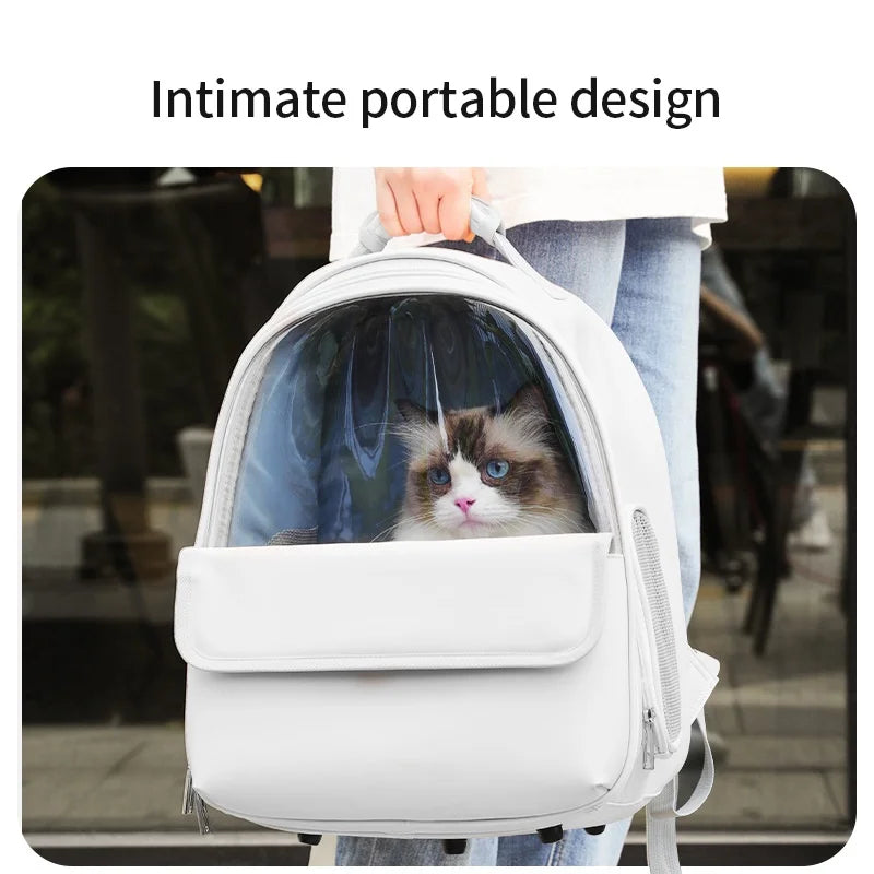 Pet Transparent Space Bag Outing Portable Cat