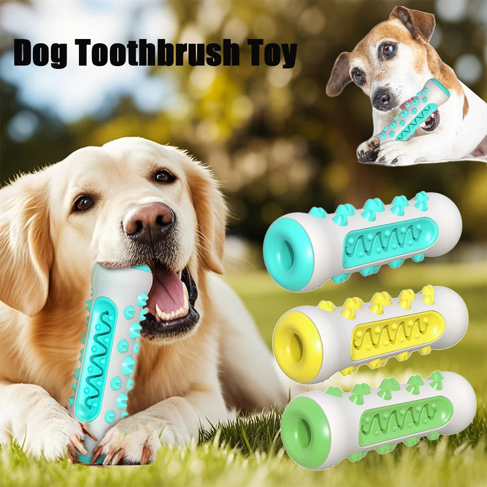 Dog Toothbrush Chew Toys Safe Bite Resistant