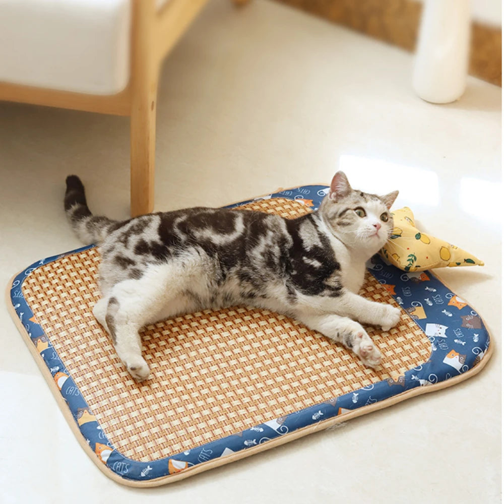 Cat Summer Rattan Pad With Pillow Bite-resistant