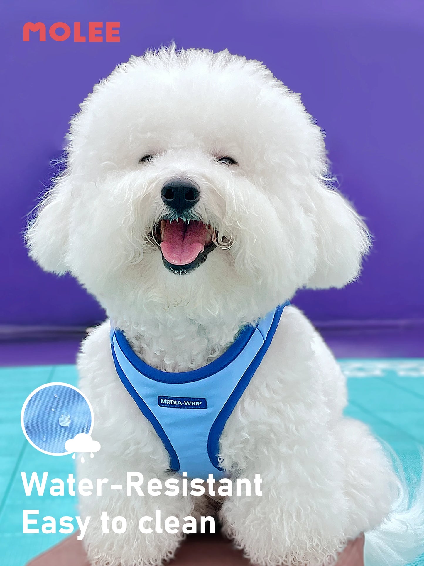 dog vest harness medium to small dog I-beam Bichon dog walking rope