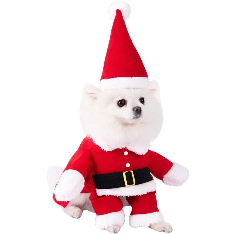 Dress dog Dress Up