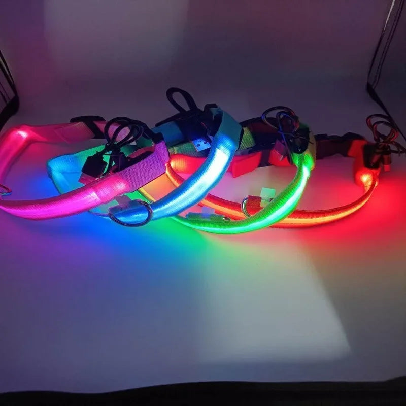 Dog  Collar LED