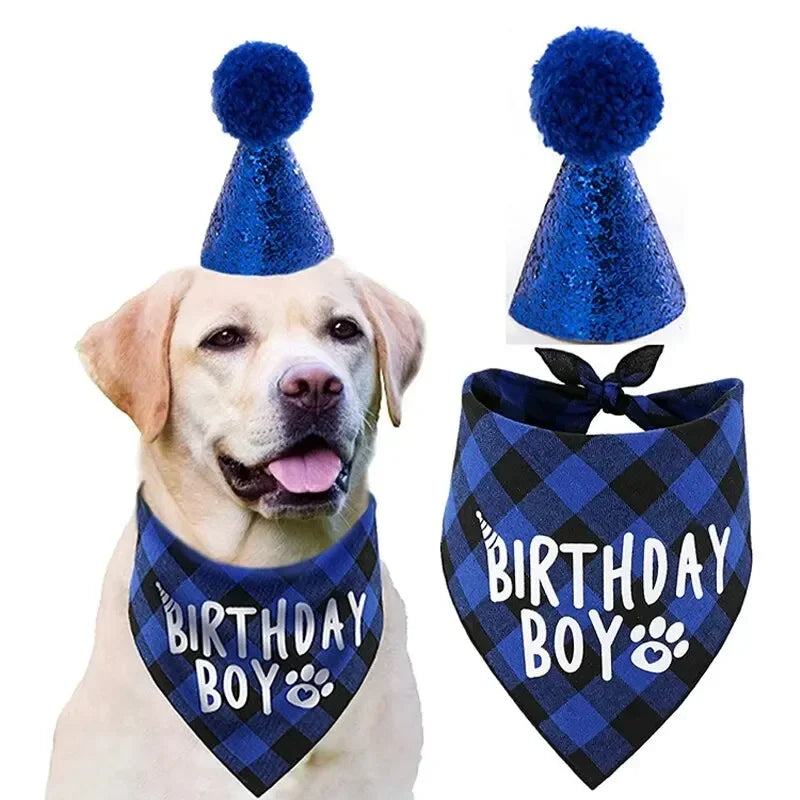 Pet Birthday Clothes