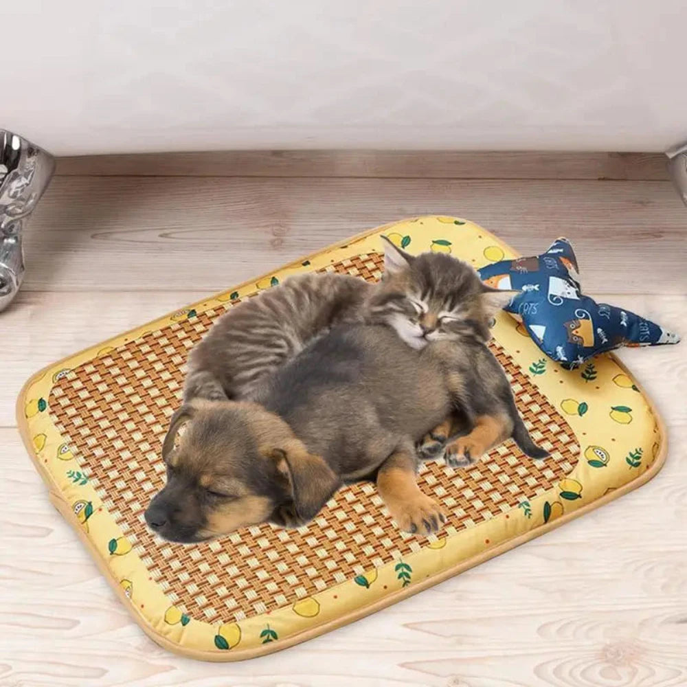 Cat Summer Rattan Pad With Pillow Bite-resistant