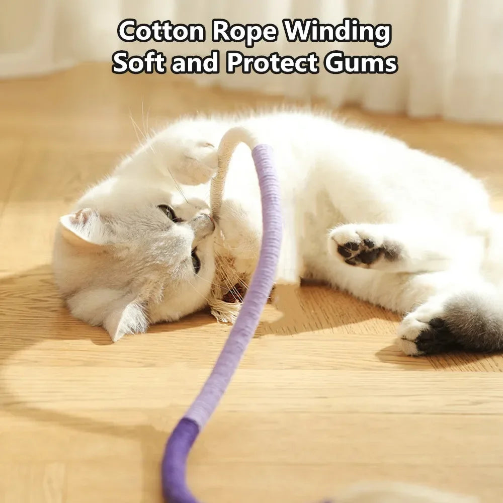 Cat Toy Clean Mouth