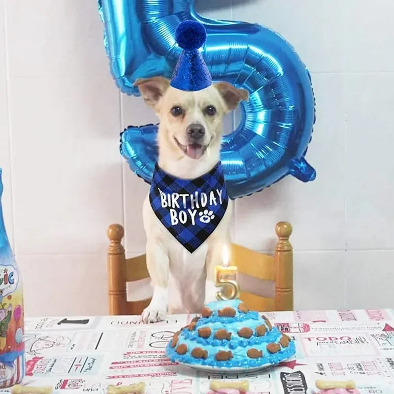 Pet Birthday Clothes