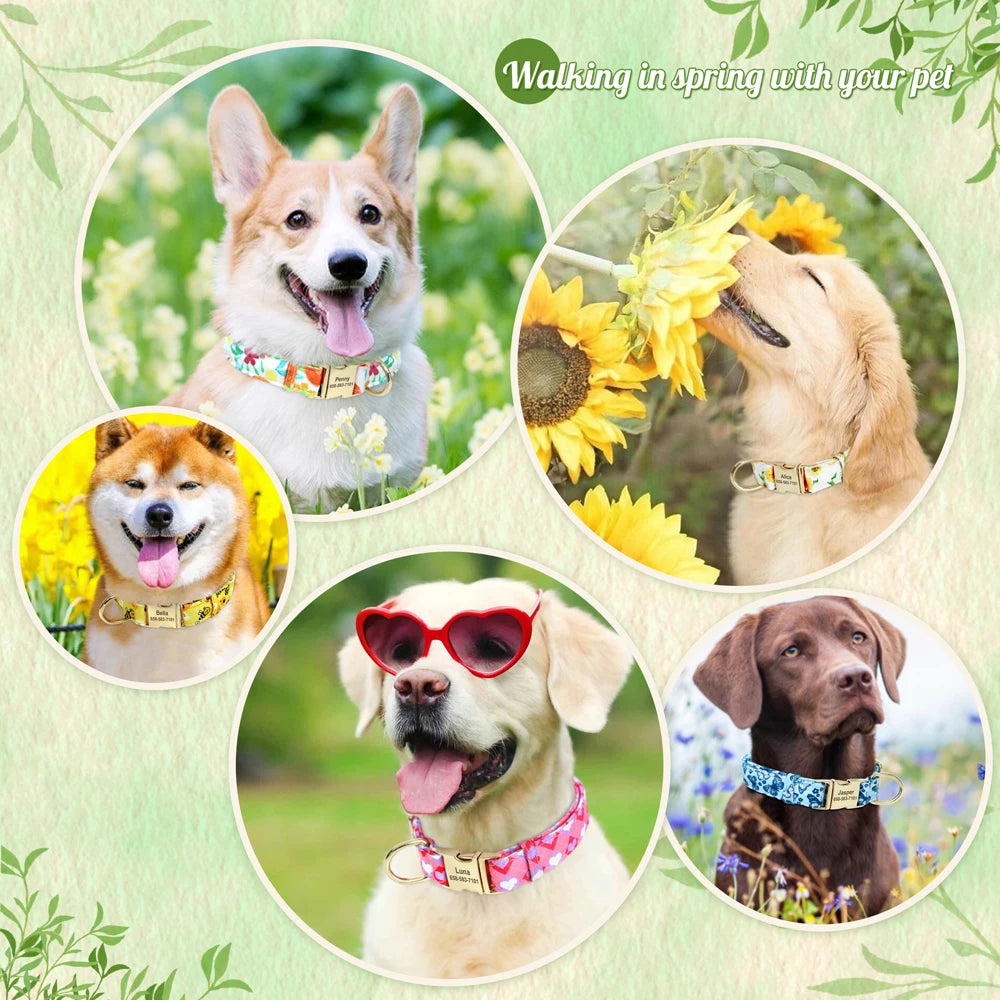 Personalized Nylon Dog Collar Flower Bee Printed