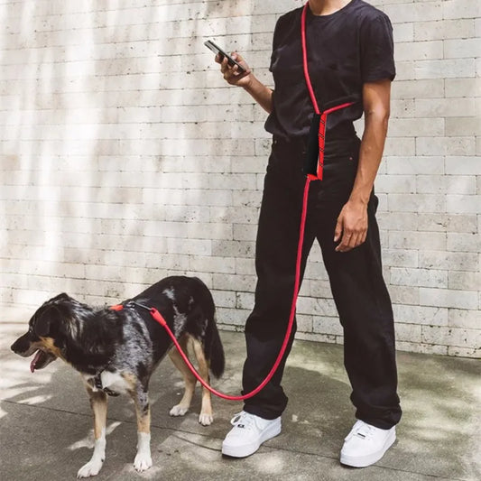 Dog Leash Hands Free Dogs